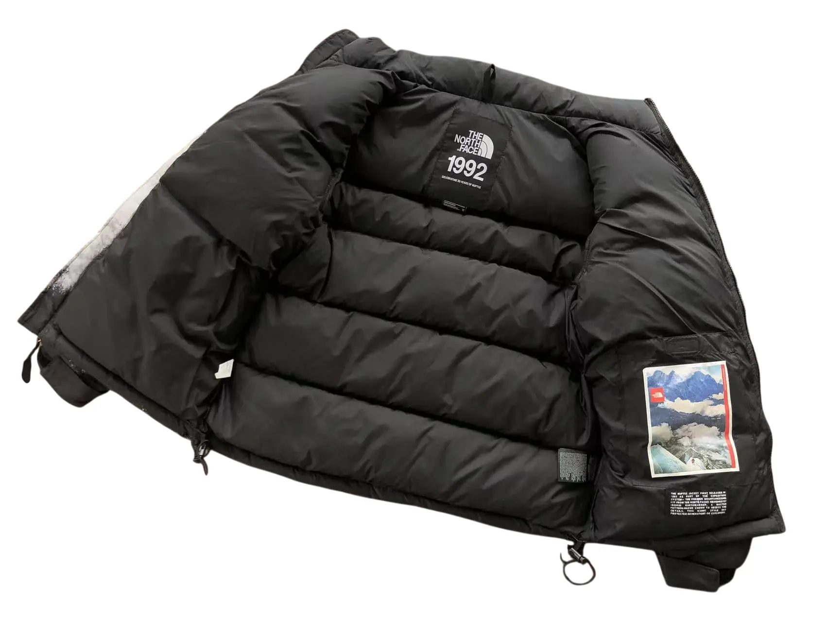 tnf anniversary2
