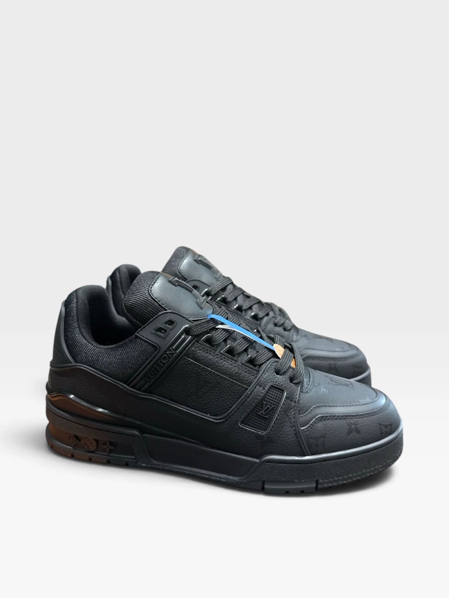 LV Trainer